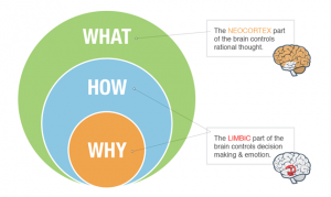 music-crowdfunding-why-fans-will-pledge